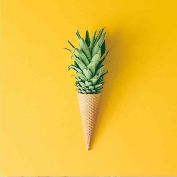 https://fetedelacroquette.nl/wp-content/uploads/2017/09/ice_cream_gallery_05.jpg